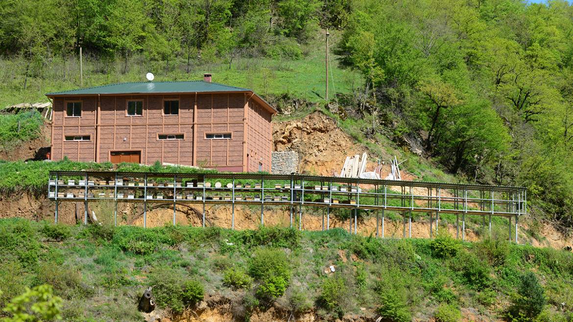 Kışlık Konaklama, Bal Dolum Tesisi, Bal Laboratuvarı, Üçü Bir Arada